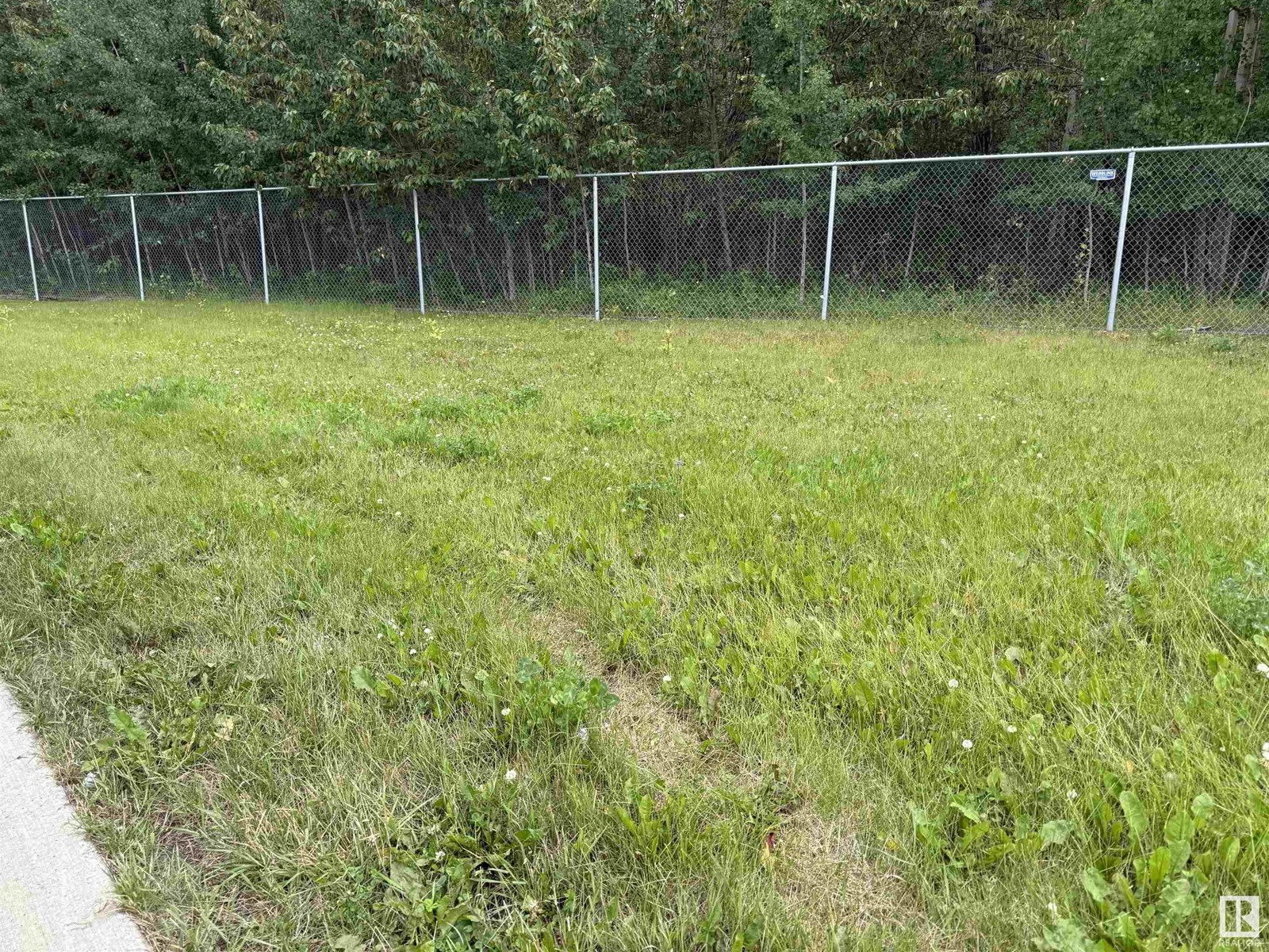 5202 39 St, Drayton Valley, Alberta  T7A 0B7 - Photo 5 - E4449273