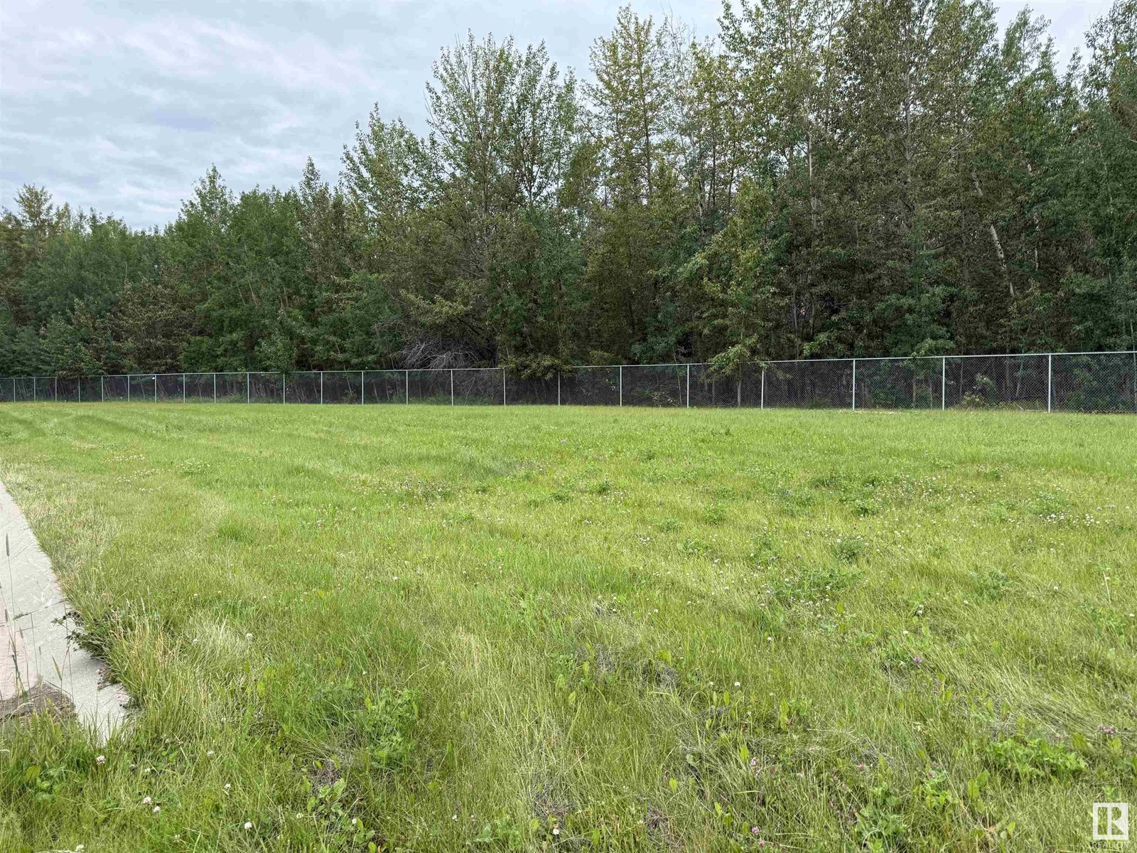 5202 39 St, Drayton Valley, Alberta  T7A 0B7 - Photo 7 - E4449273