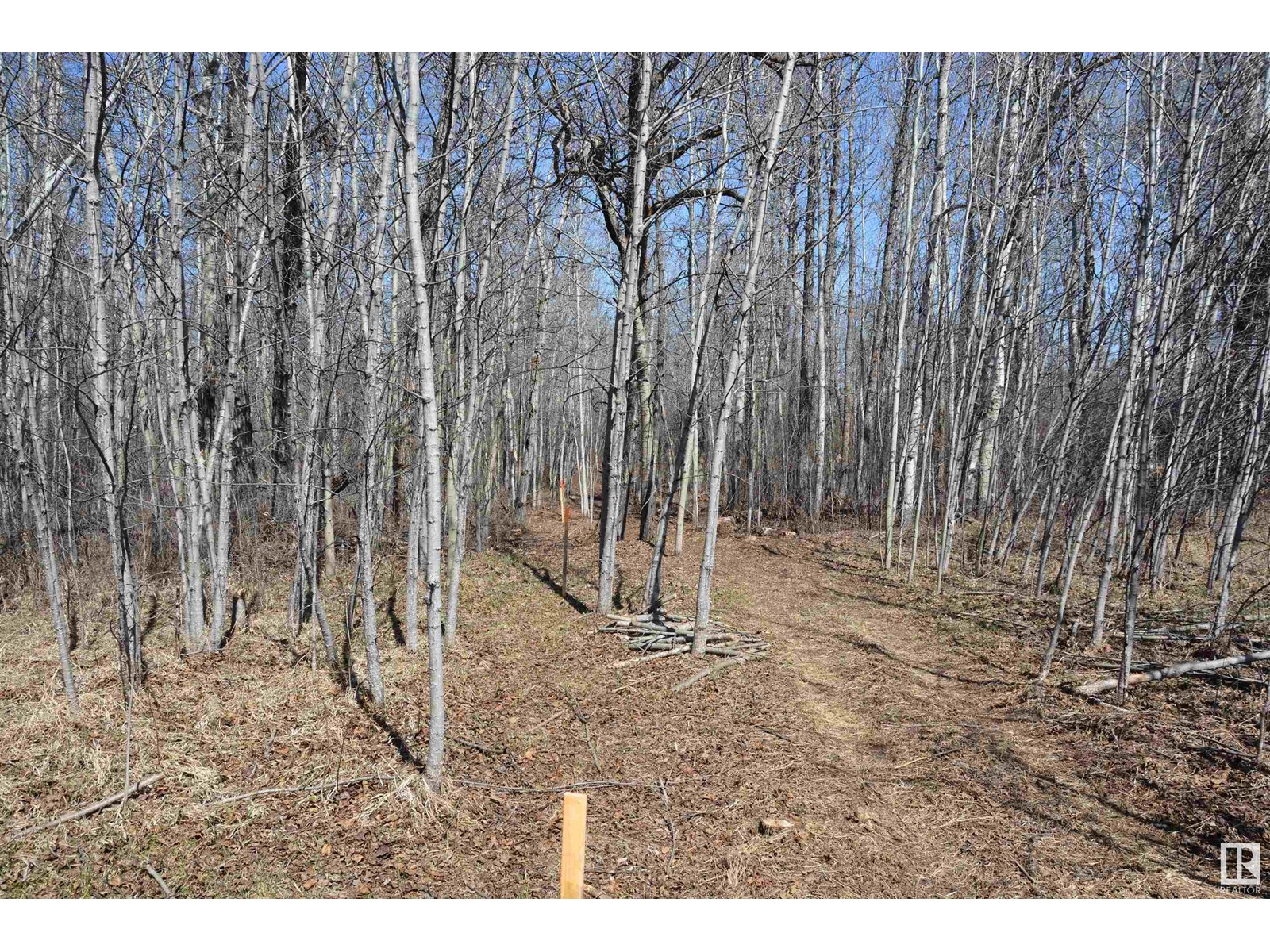 4 2306 Twp Road 540, Rural Lac Ste. Anne County, Alberta  T0E 1V0 - Photo 16 - E4450153