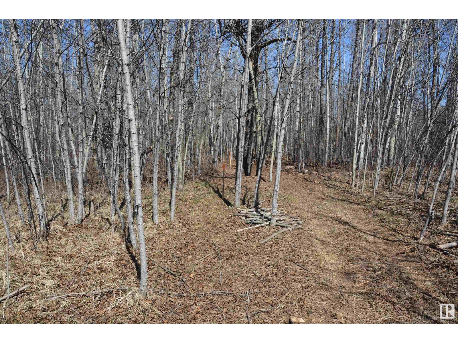 4 2306 Twp Road 540, Rural Lac Ste. Anne County, Alberta  T0E 1V0 - Photo 17 - E4450153