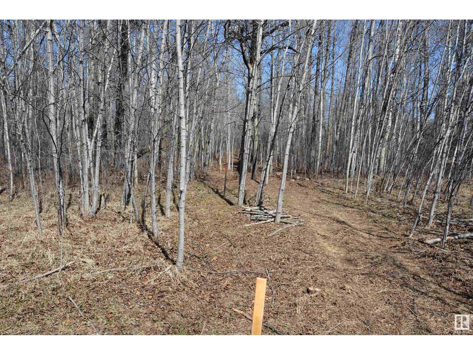 4 2306 Twp Road 540, Rural Lac Ste. Anne County, Alberta  T0E 1V0 - Photo 19 - E4450153