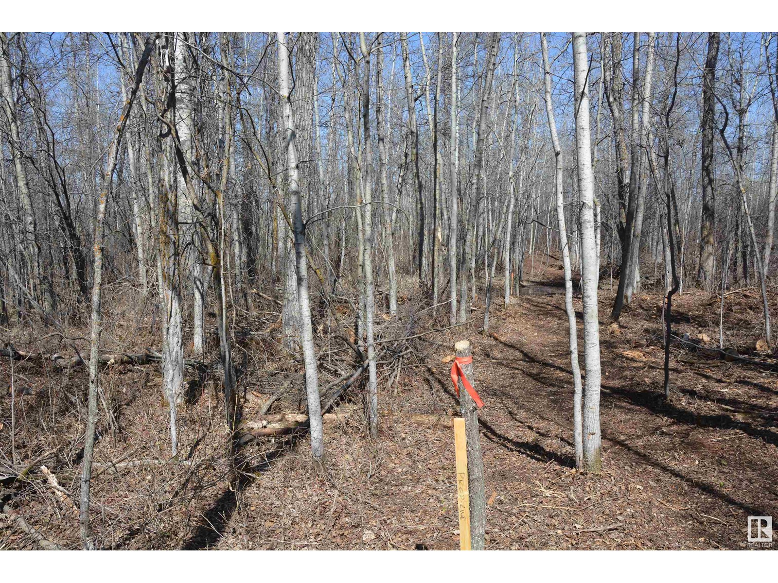 4 2306 Twp Road 540, Rural Lac Ste. Anne County, Alberta  T0E 1V0 - Photo 20 - E4450153