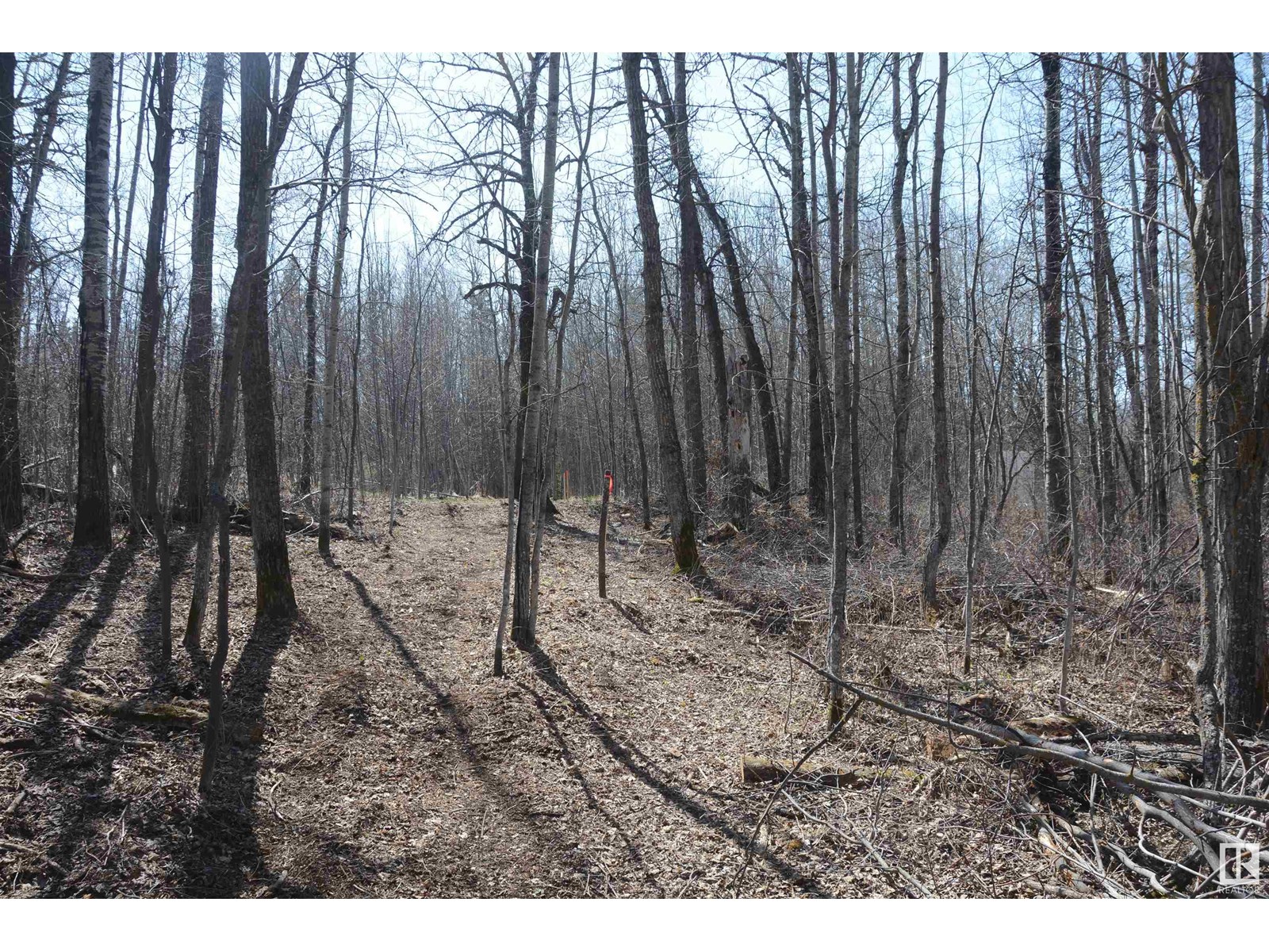 4 2306 Twp Road 540, Rural Lac Ste. Anne County, Alberta  T0E 1V0 - Photo 21 - E4450153