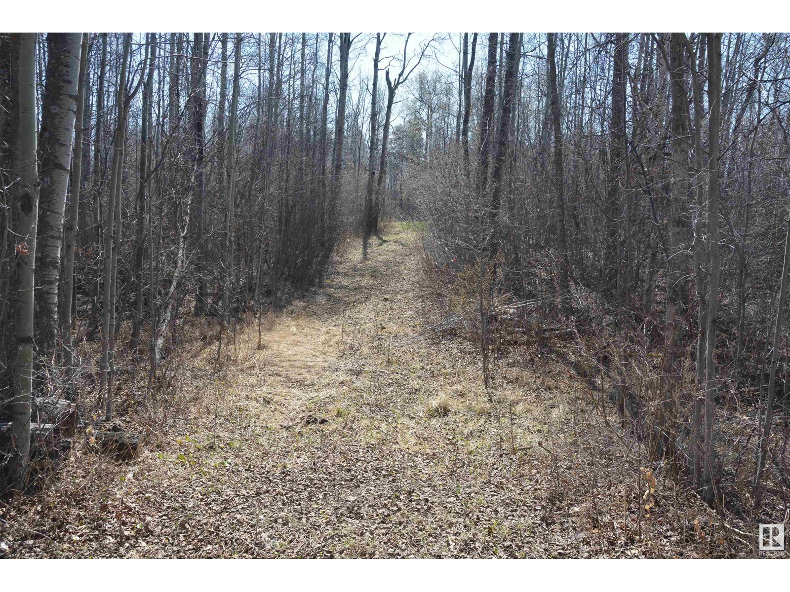 4 2306 Twp Road 540, Rural Lac Ste. Anne County, Alberta  T0E 1V0 - Photo 4 - E4450153