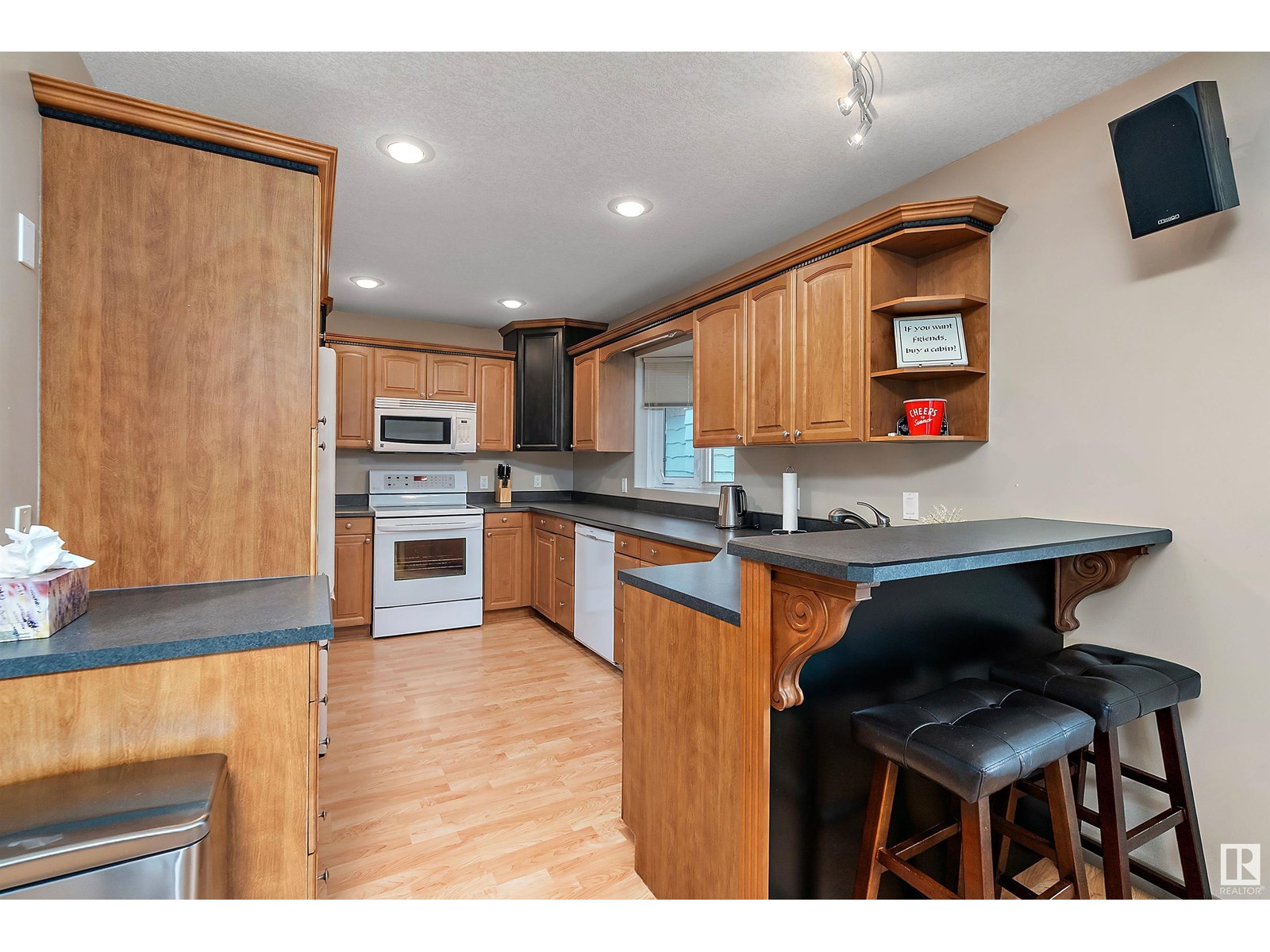 513 2nd Av, Rural Wetaskiwin County, Alberta  T0C 1X0 - Photo 14 - E4450545