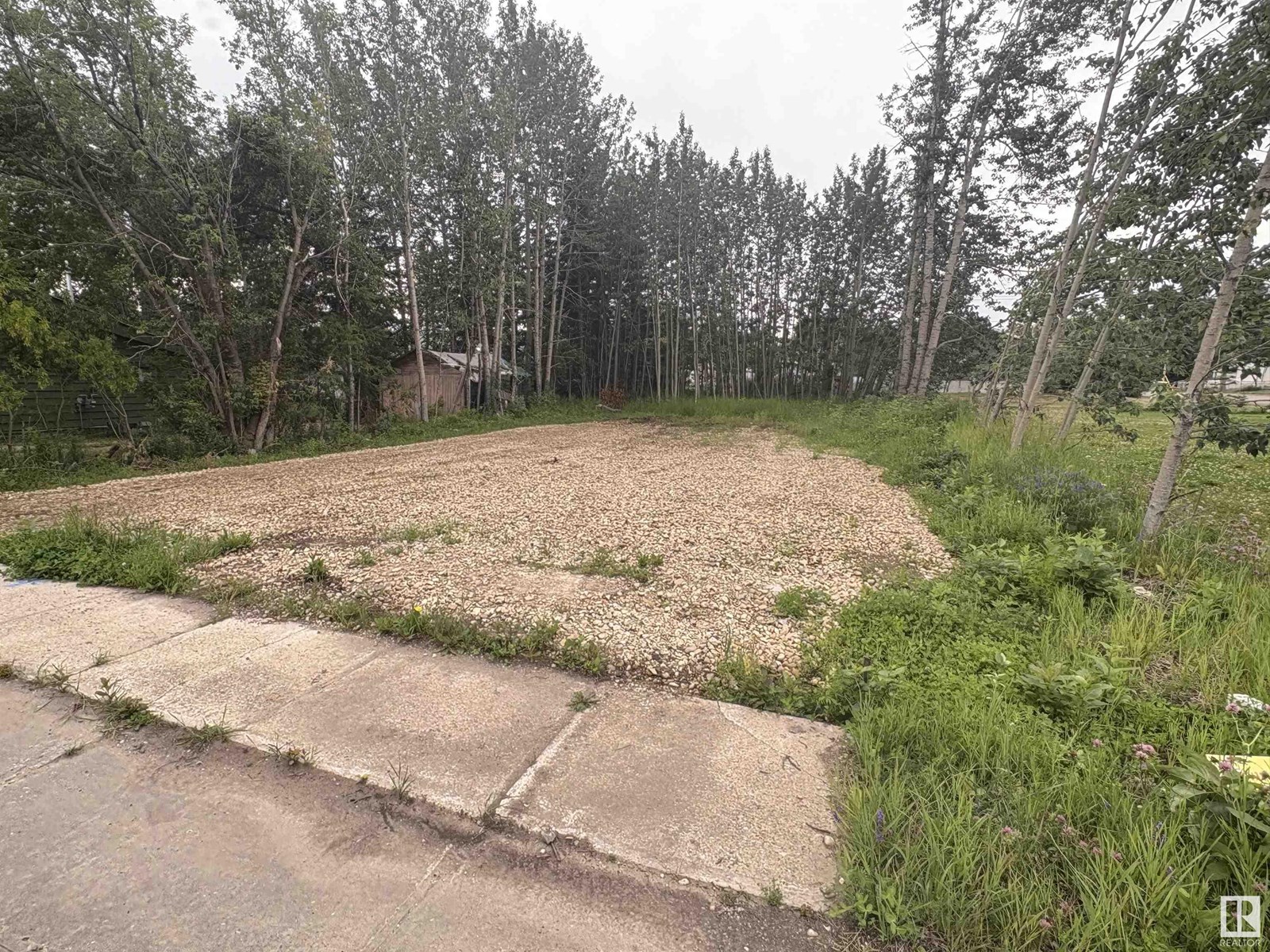 5121 50 Av, Entwistle, Alberta  T0E 0S0 - Photo 3 - E4450820