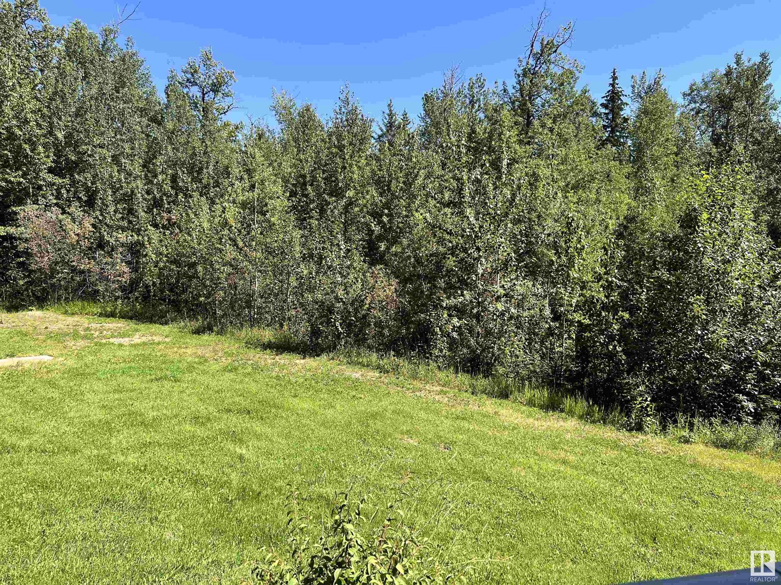 8409 Twp Rd 493, Rural Brazeau County, Alberta  T7A 2A3 - Photo 38 - E4451022