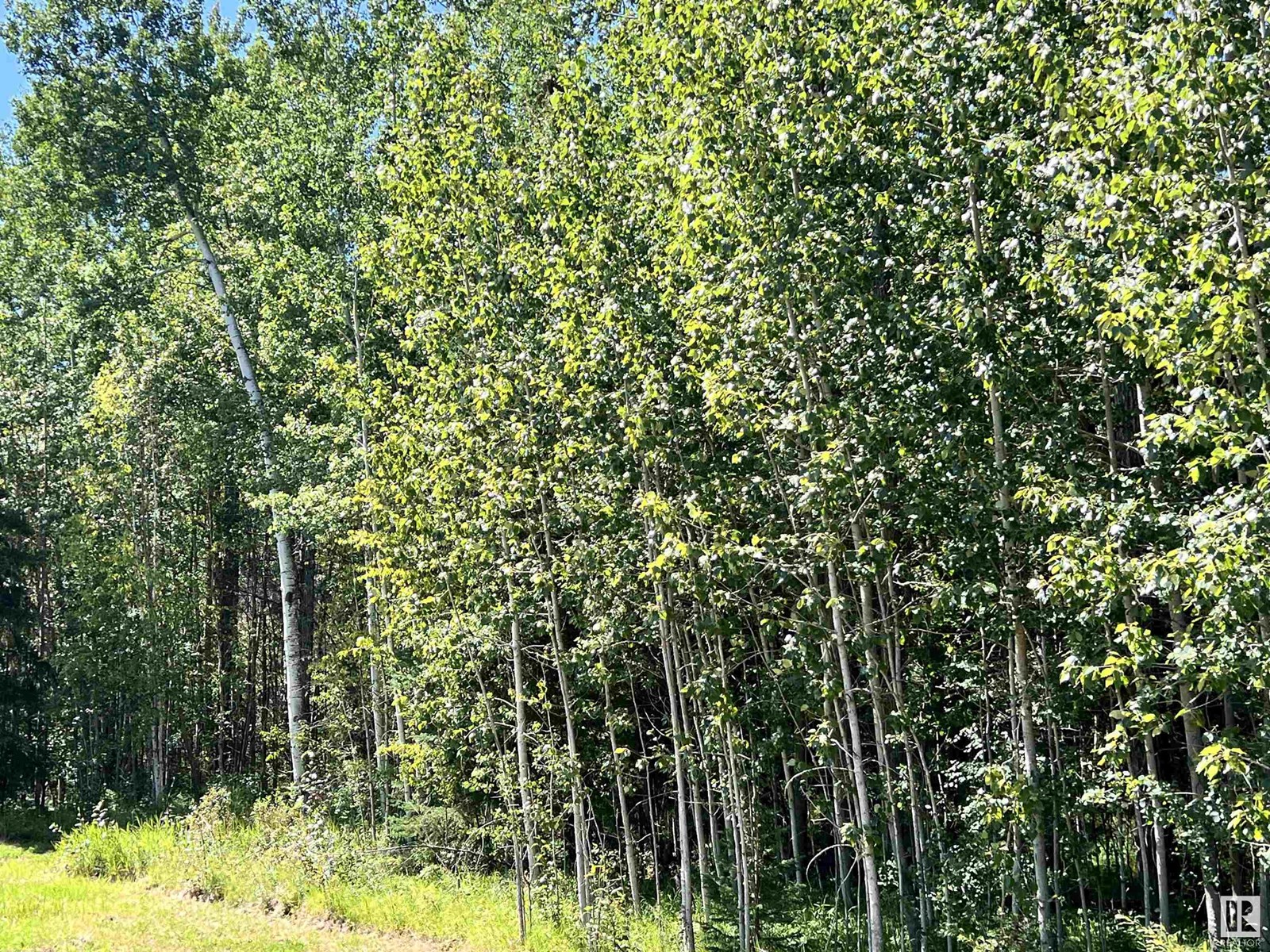 8409 Twp Rd 493, Rural Brazeau County, Alberta  T7A 2A3 - Photo 40 - E4451022