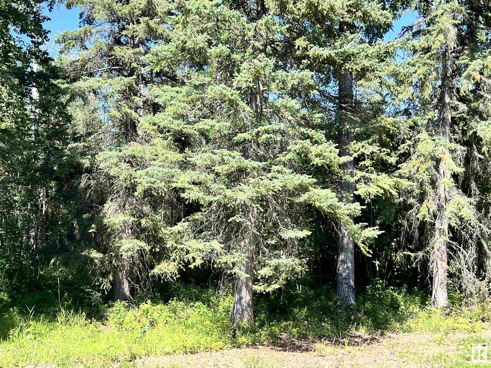 8409 Twp Rd 493, Rural Brazeau County, Alberta  T7A 2A3 - Photo 41 - E4451022