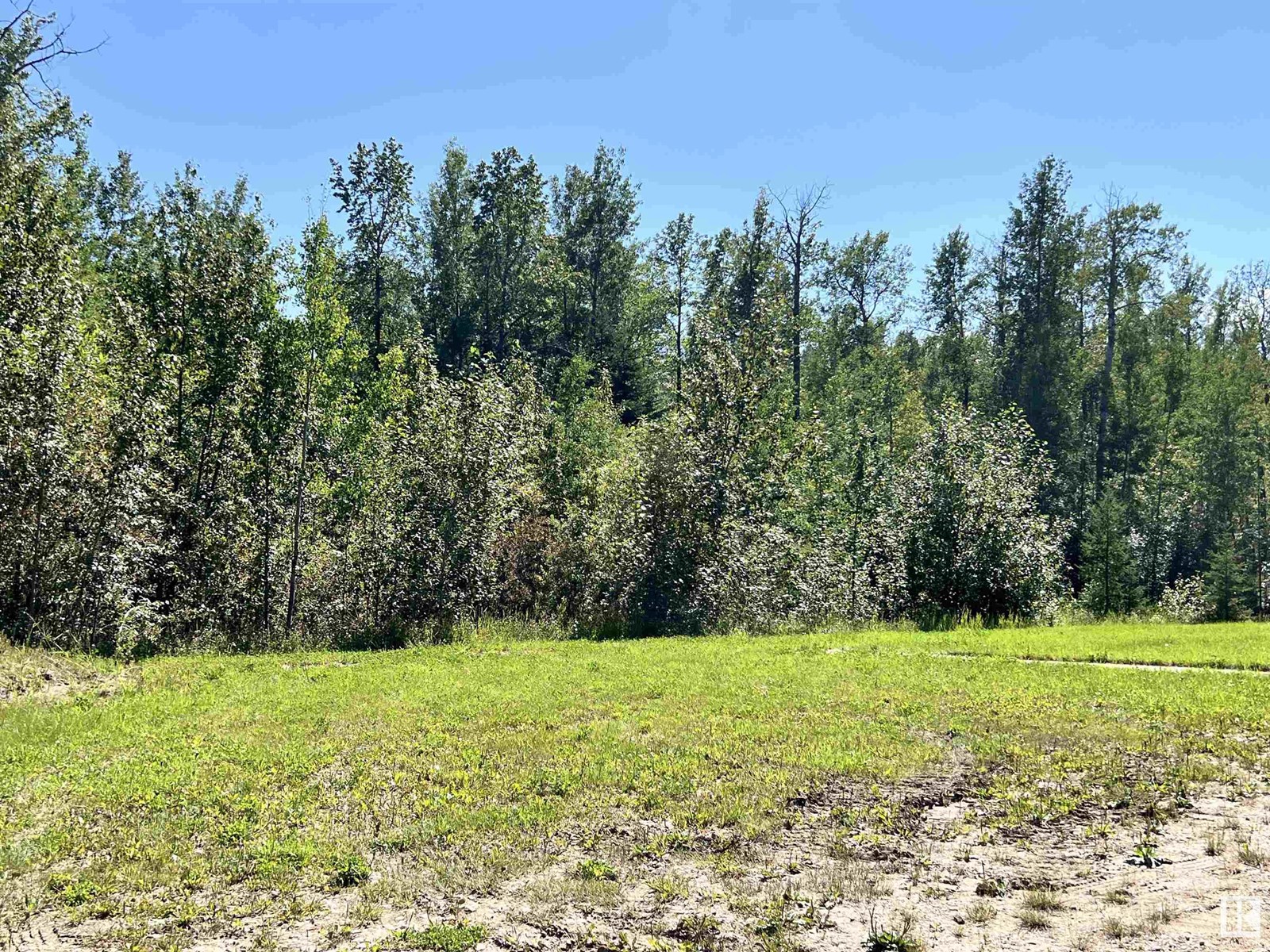 8409 Twp Rd 493, Rural Brazeau County, Alberta  T7A 2A3 - Photo 42 - E4451022