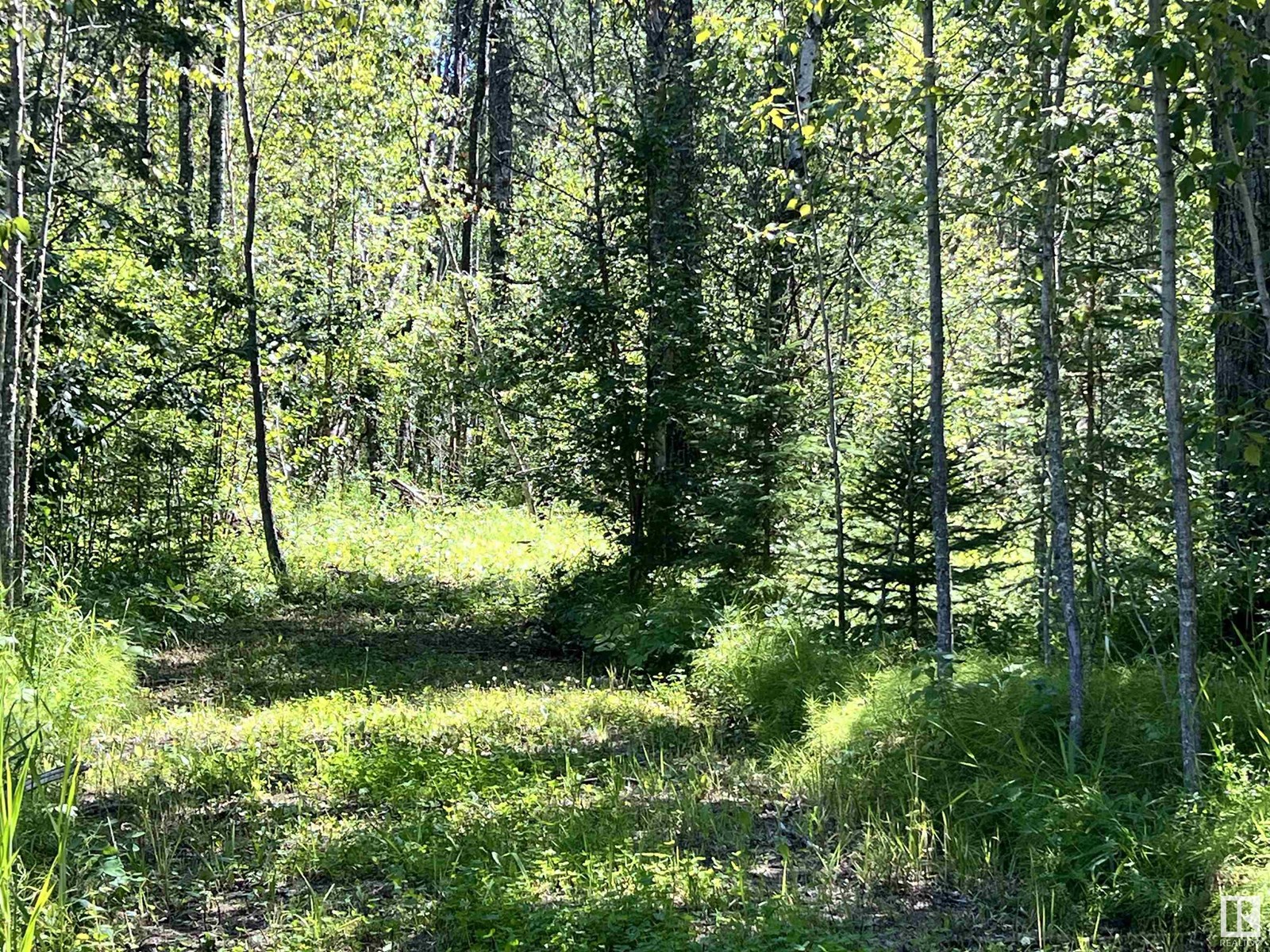 8409 Twp Rd 493, Rural Brazeau County, Alberta  T7A 2A3 - Photo 46 - E4451022