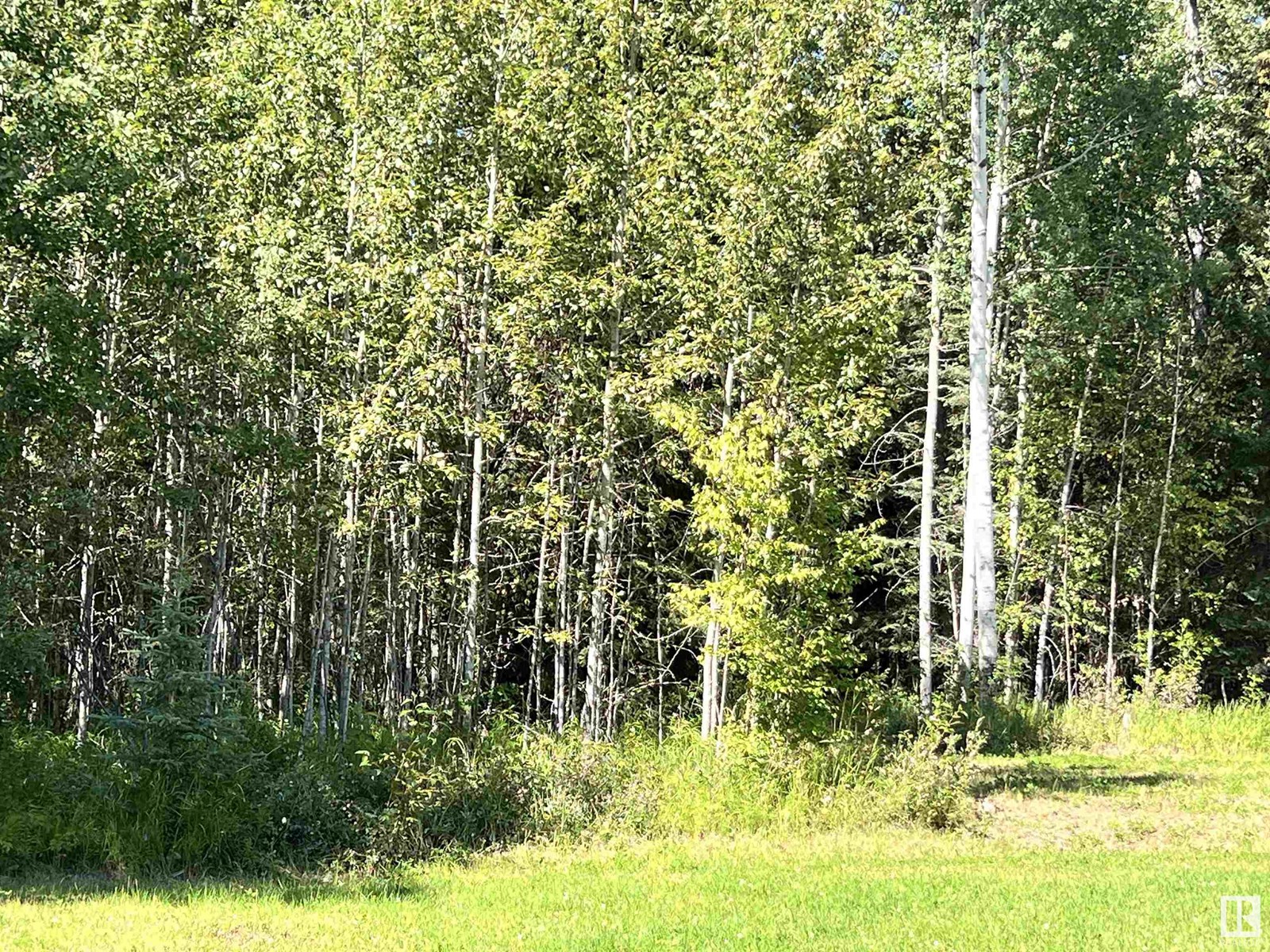 8409 Twp Rd 493, Rural Brazeau County, Alberta  T7A 2A3 - Photo 49 - E4451022