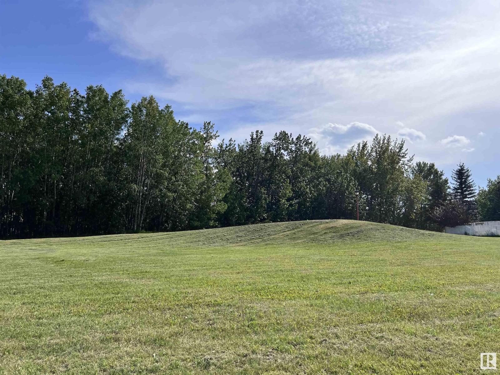 Pt Of Ne 9-49-7-W5, Drayton Valley, Alberta  T7A 1T3 - Photo 6 - E4451140