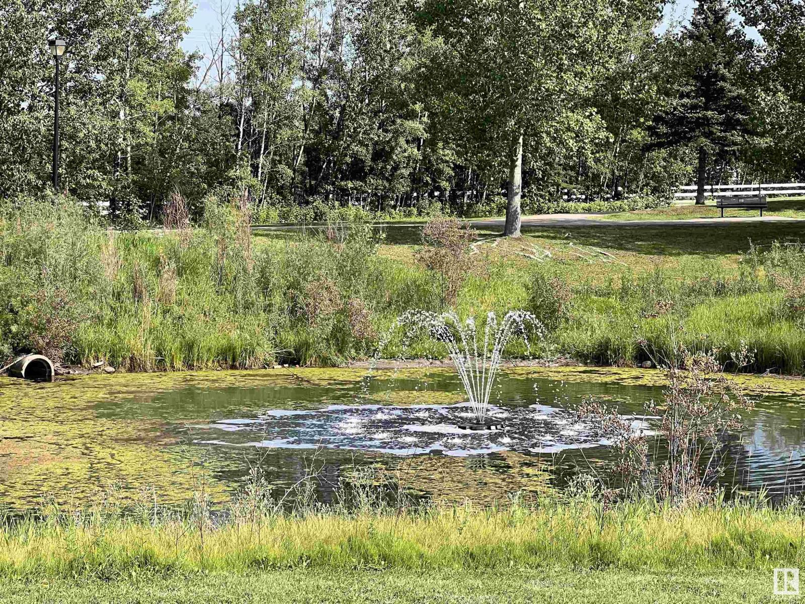 Pt Of Ne 9-49-7-W5, Drayton Valley, Alberta  T7A 1T3 - Photo 8 - E4451140