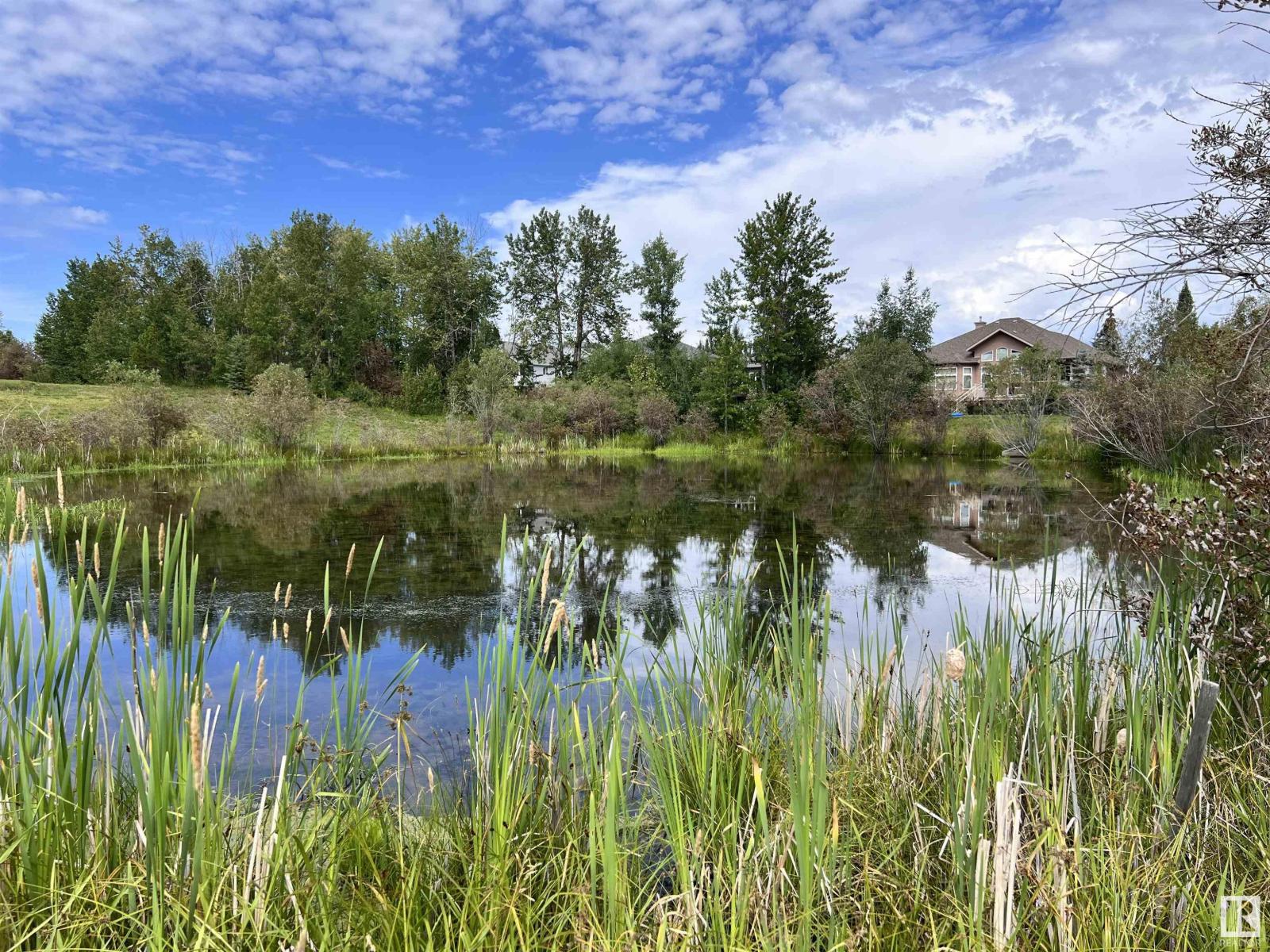 3500 43 Ave, Drayton Valley, Alberta  T7A 1T8 - Photo 3 - E4451145