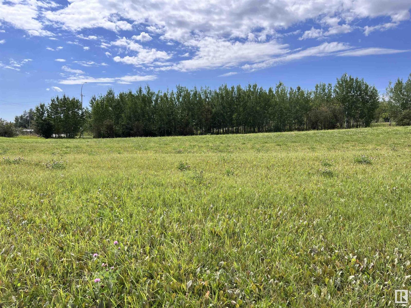 3500 43 Ave, Drayton Valley, Alberta  T7A 1T8 - Photo 4 - E4451145