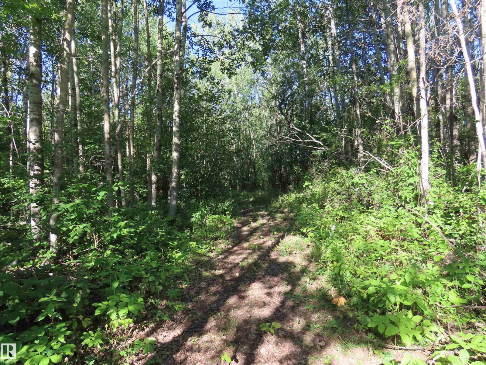 #41 6004 Twp Road 534, Rural Parkland County, Alberta  T0E 2B0 - Photo 1 - E4451409