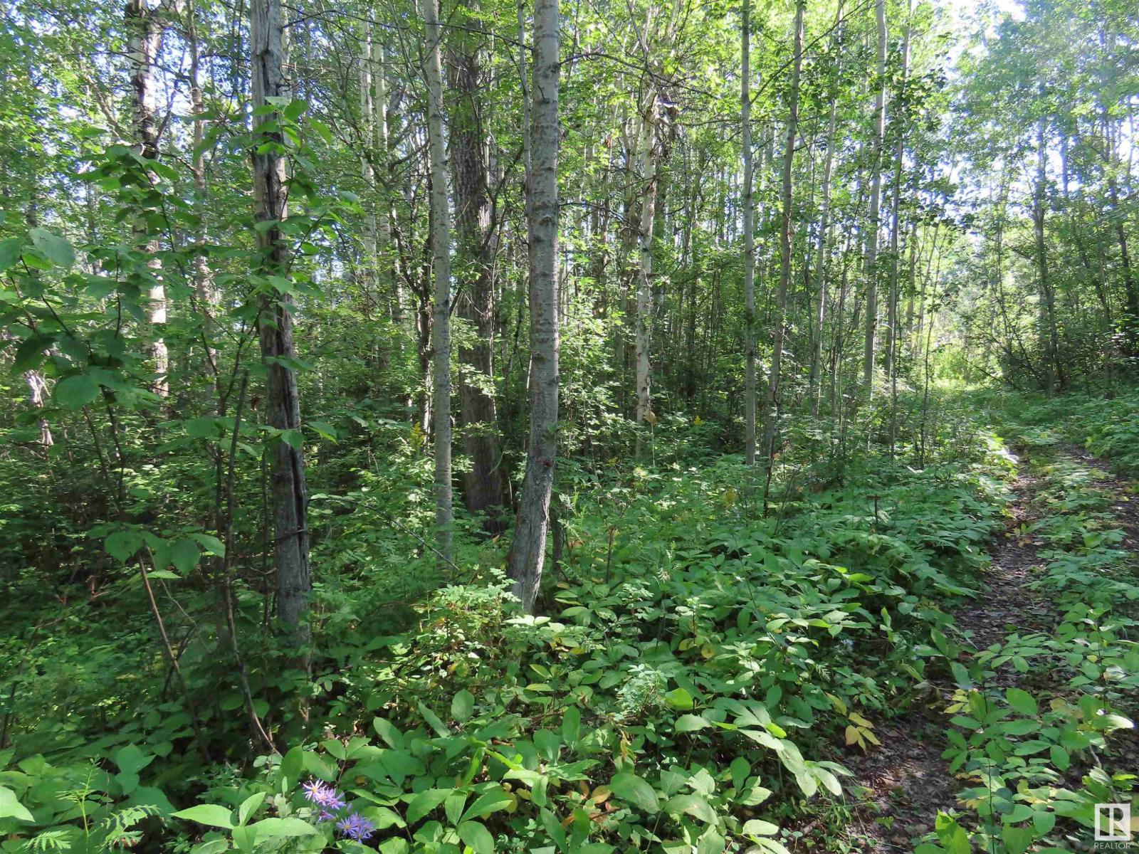 #41 6004 Twp Road 534, Rural Parkland County, Alberta  T0E 2B0 - Photo 11 - E4451409