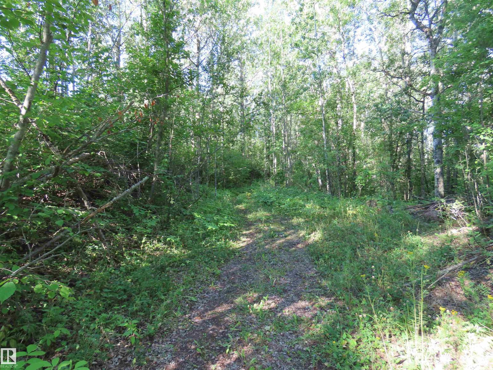 #41 6004 Twp Road 534, Rural Parkland County, Alberta  T0E 2B0 - Photo 2 - E4451409