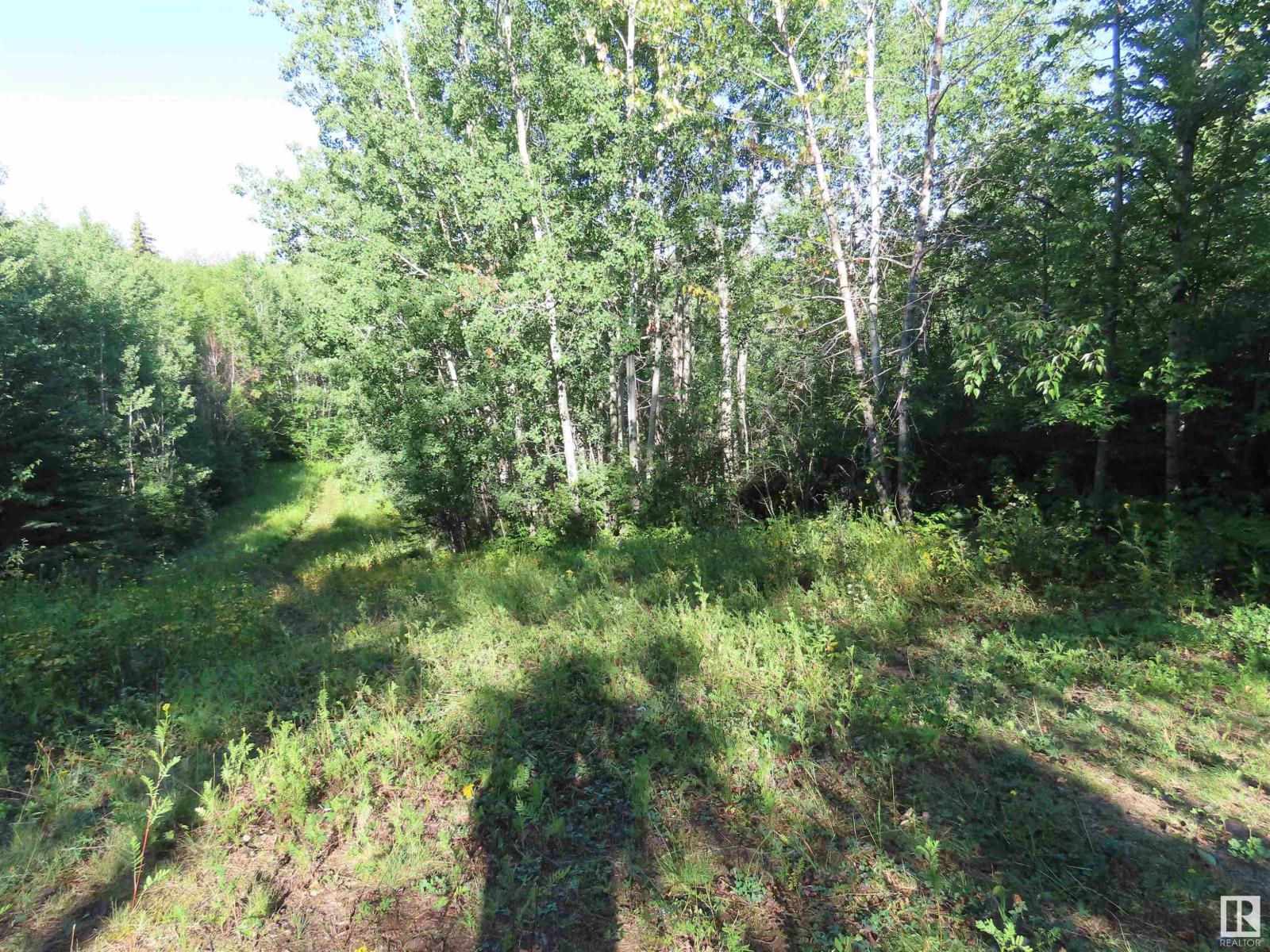 #41 6004 Twp Road 534, Rural Parkland County, Alberta  T0E 2B0 - Photo 7 - E4451409
