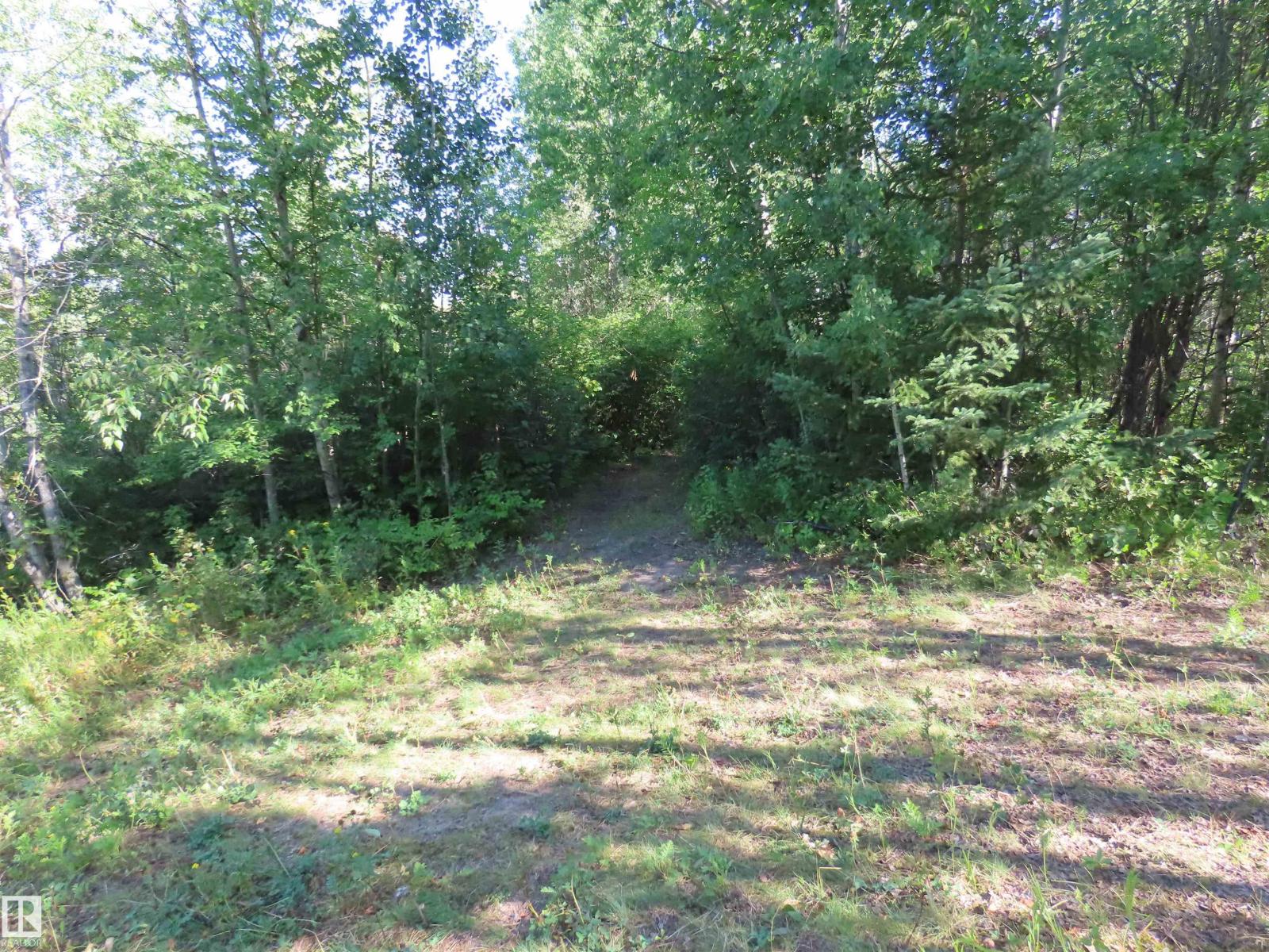 #41 6004 Twp Road 534, Rural Parkland County, Alberta  T0E 2B0 - Photo 8 - E4451409