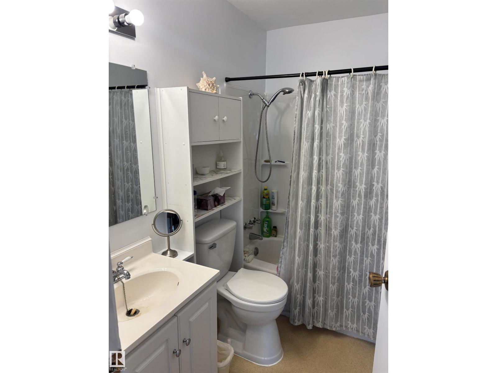 4824 49 Av, Sangudo, Alberta  T0E 2A0 - Photo 22 - E4451696