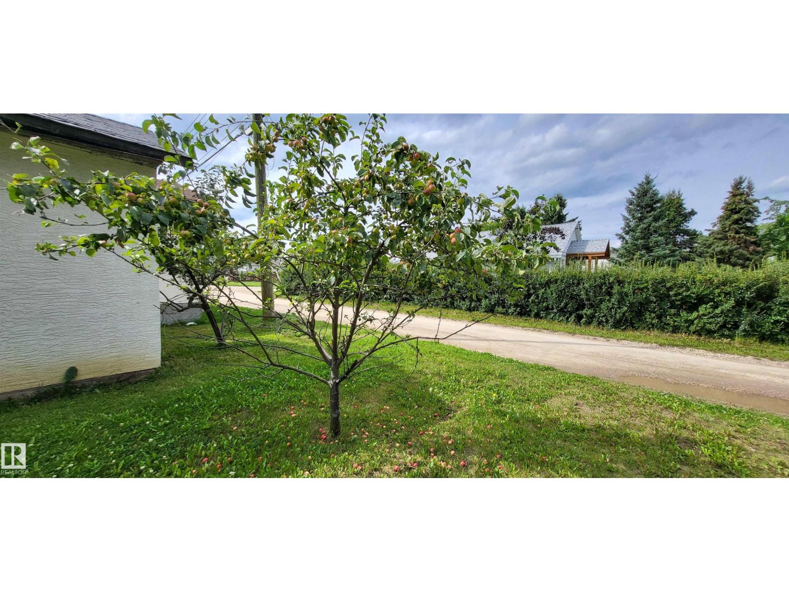4804 47 Av, Drayton Valley, Alberta  T7A 1J1 - Photo 7 - E4452416