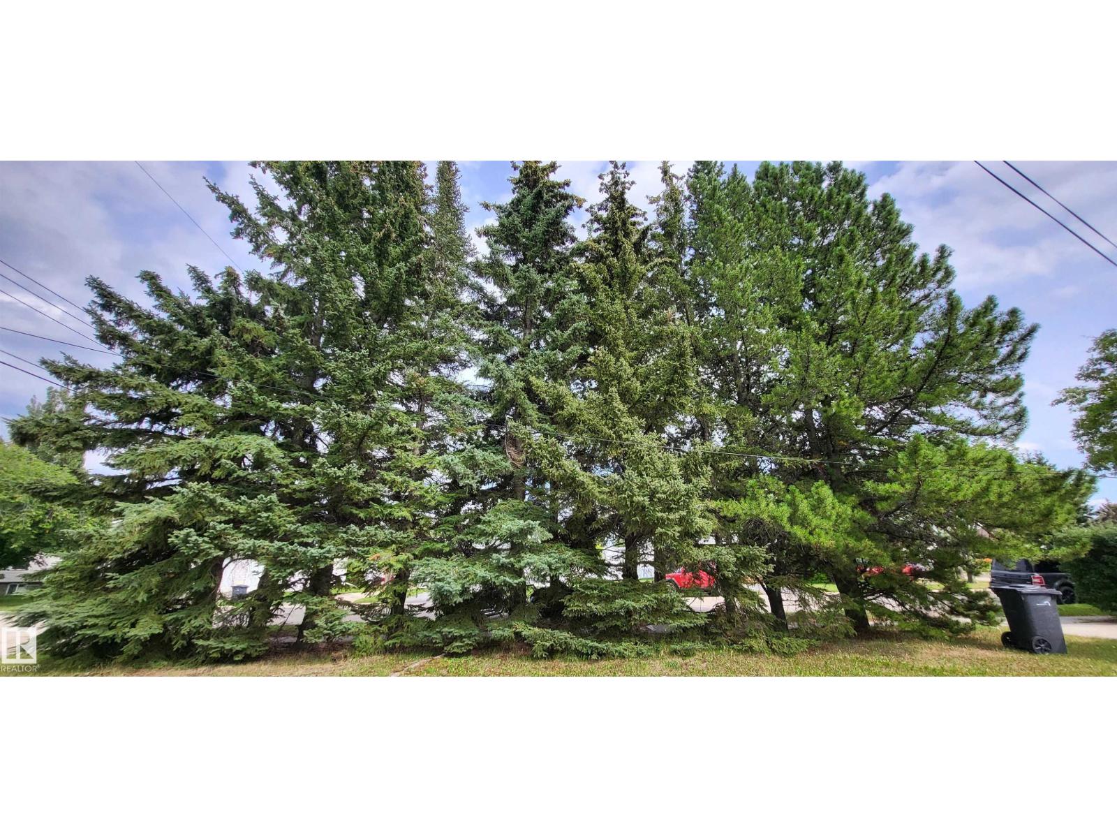 4804 47 Av, Drayton Valley, Alberta  T7A 1J1 - Photo 8 - E4452416