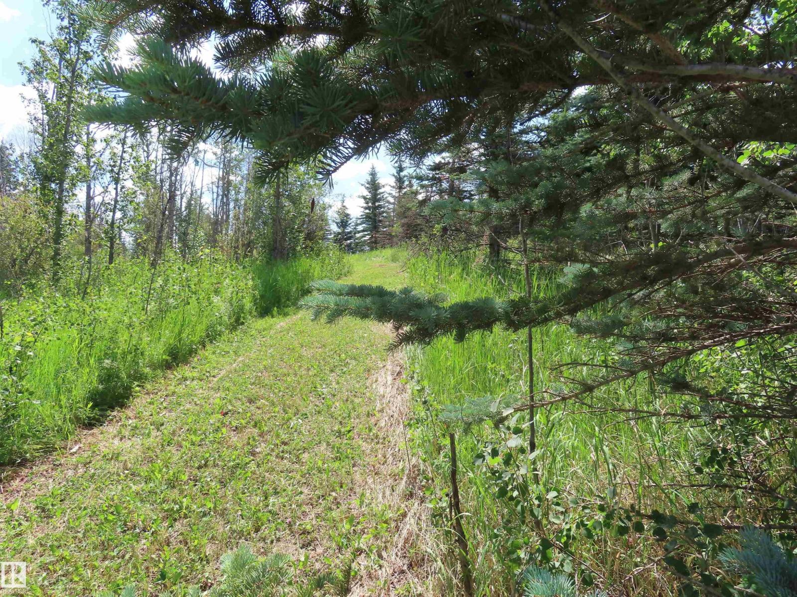 8316 Hwy 16a, Rural Yellowhead, Alberta  T0E 0T0 - Photo 73 - E4453322