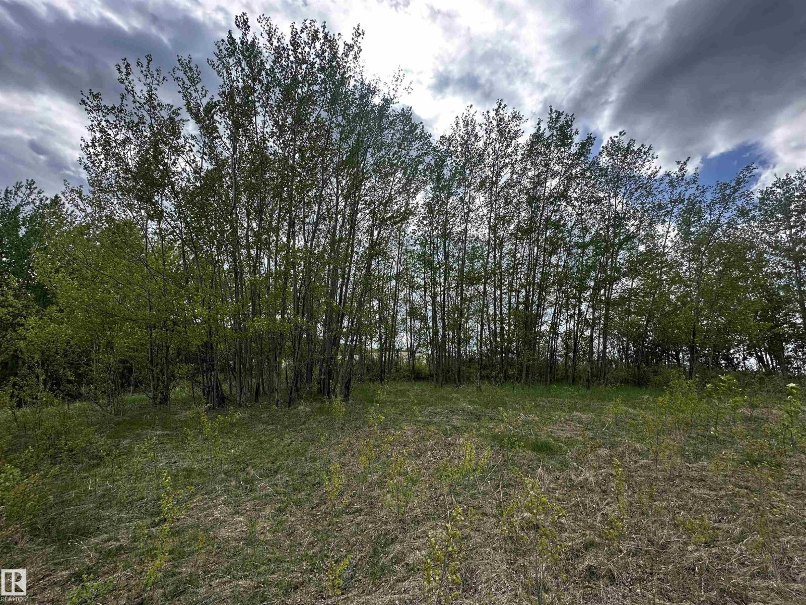 #31 53120 Rge Road 15, Rural Parkland County, Alberta  T0E 0H0 - Photo 1 - E4453504