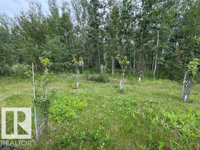 Rge Rd 21 Twp 464, Rural Wetaskiwin County, Alberta  T0C 2V0 - Photo 5 - E4453651