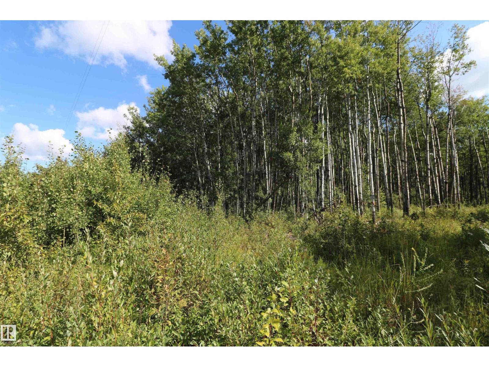 56211a Range Rd 25, Rural Lac Ste. Anne County, Alberta  T0E 1A0 - Photo 4 - E4454361