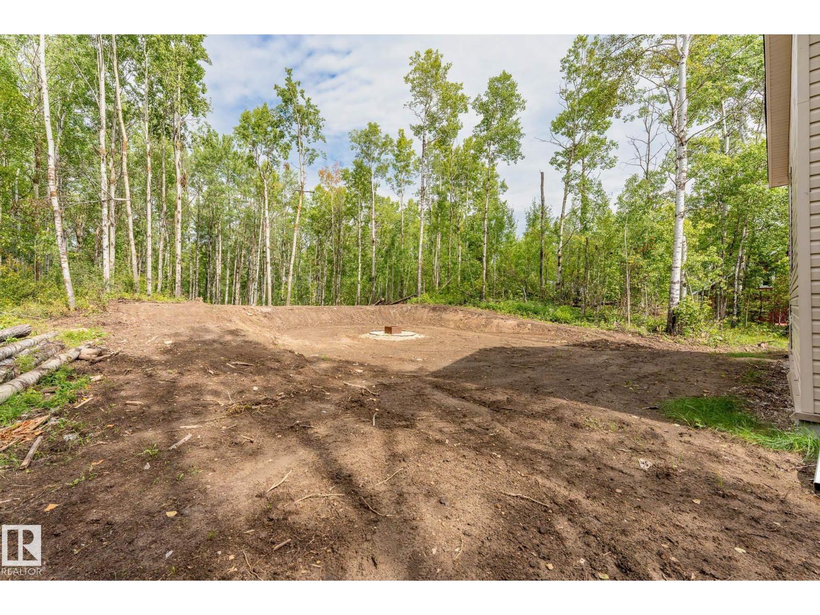 4008 Nakamun Dr, Rural Lac Ste. Anne County, Alberta  T0E 1V0 - Photo 46 - E4454394
