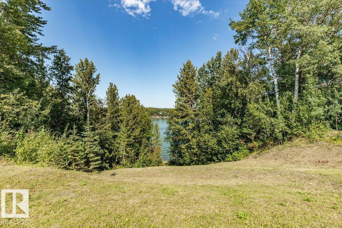 #214 271022 Twp Road 480, Rural Wetaskiwin County, Alberta  T0C 0V0 - Photo 33 - E4454890