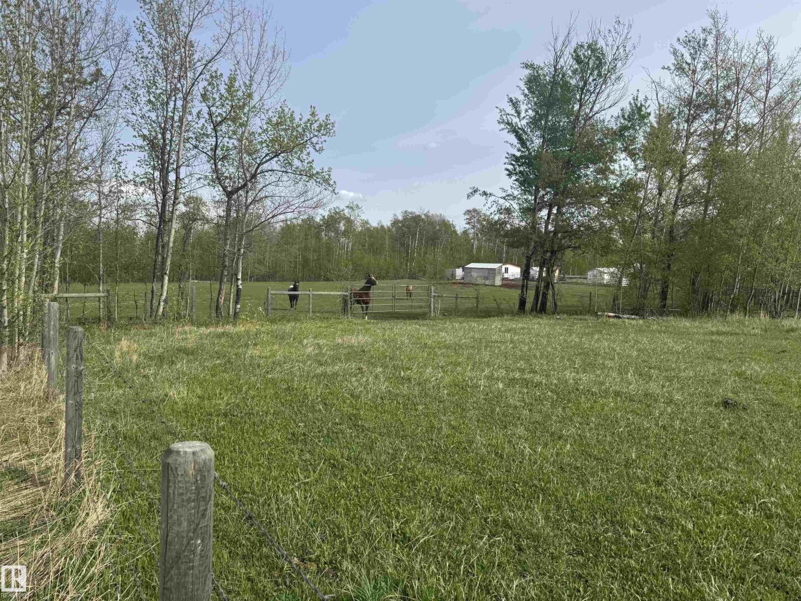 Unknown Address, ,    - Photo 9 - E4455364