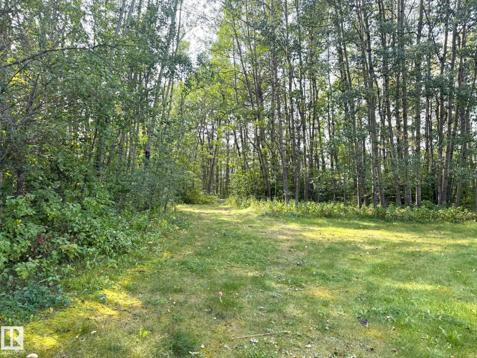 5112 53 St, Warburg, Alberta  T0C 2T0 - Photo 20 - E4455977