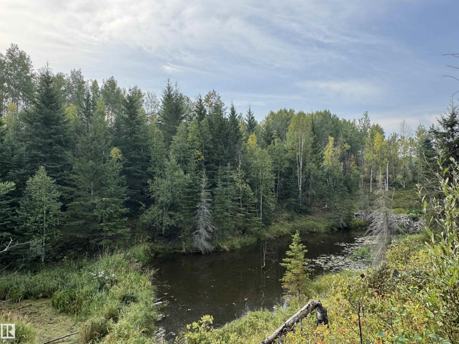 On Twp 484, Rural Brazeau County, Alberta  T0C 0A0 - Photo 10 - E4456901