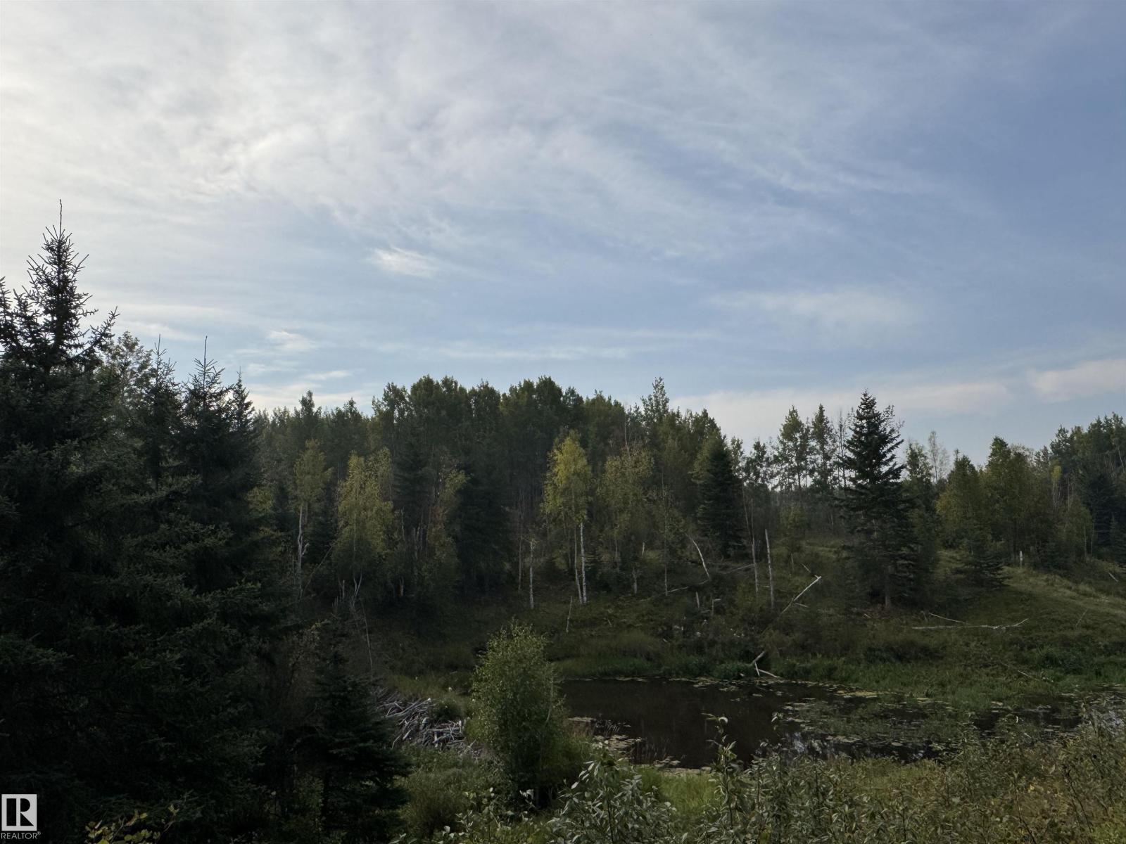 On Twp 484, Rural Brazeau County, Alberta  T0C 0A0 - Photo 11 - E4456901