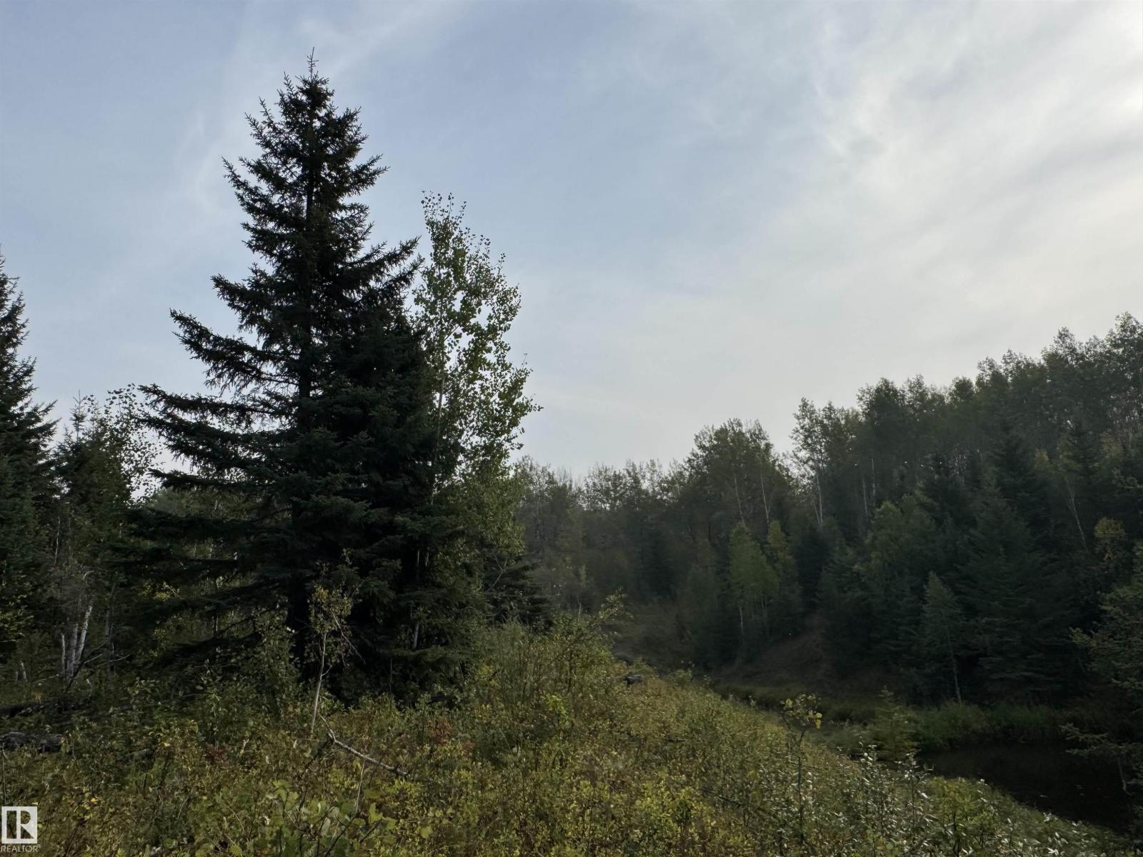On Twp 484, Rural Brazeau County, Alberta  T0C 0A0 - Photo 12 - E4456901