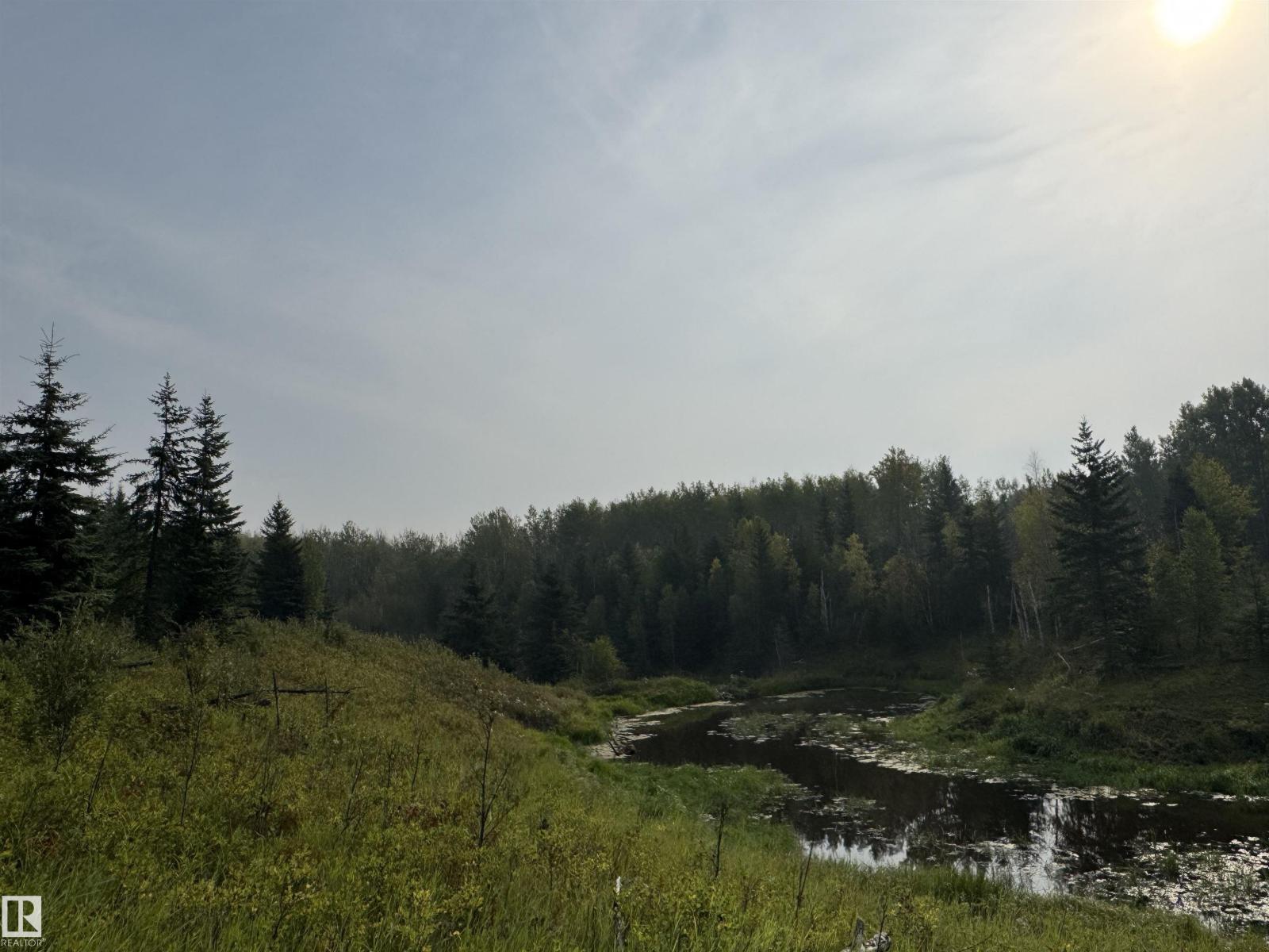 On Twp 484, Rural Brazeau County, Alberta  T0C 0A0 - Photo 14 - E4456901