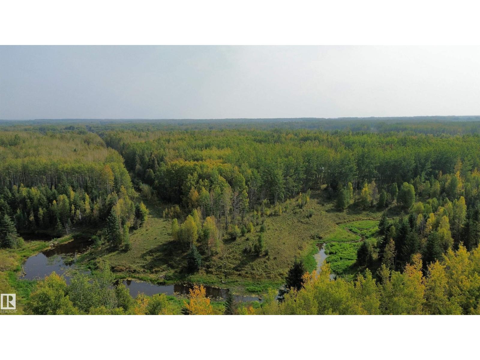 On Twp 484, Rural Brazeau County, Alberta  T0C 0A0 - Photo 15 - E4456901
