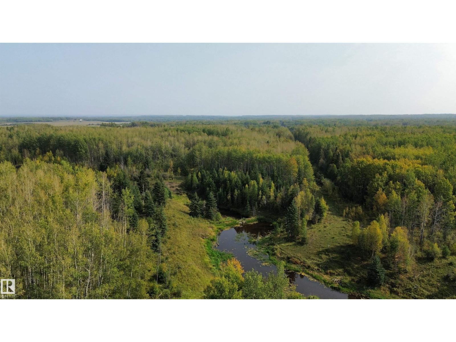 On Twp 484, Rural Brazeau County, Alberta  T0C 0A0 - Photo 16 - E4456901