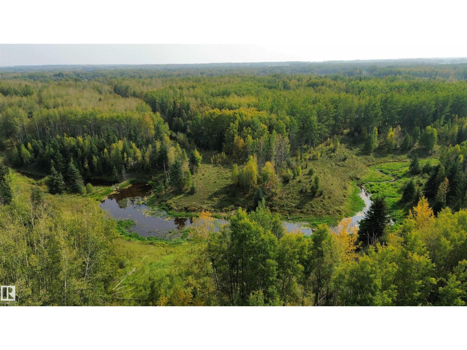 On Twp 484, Rural Brazeau County, Alberta  T0C 0A0 - Photo 3 - E4456901