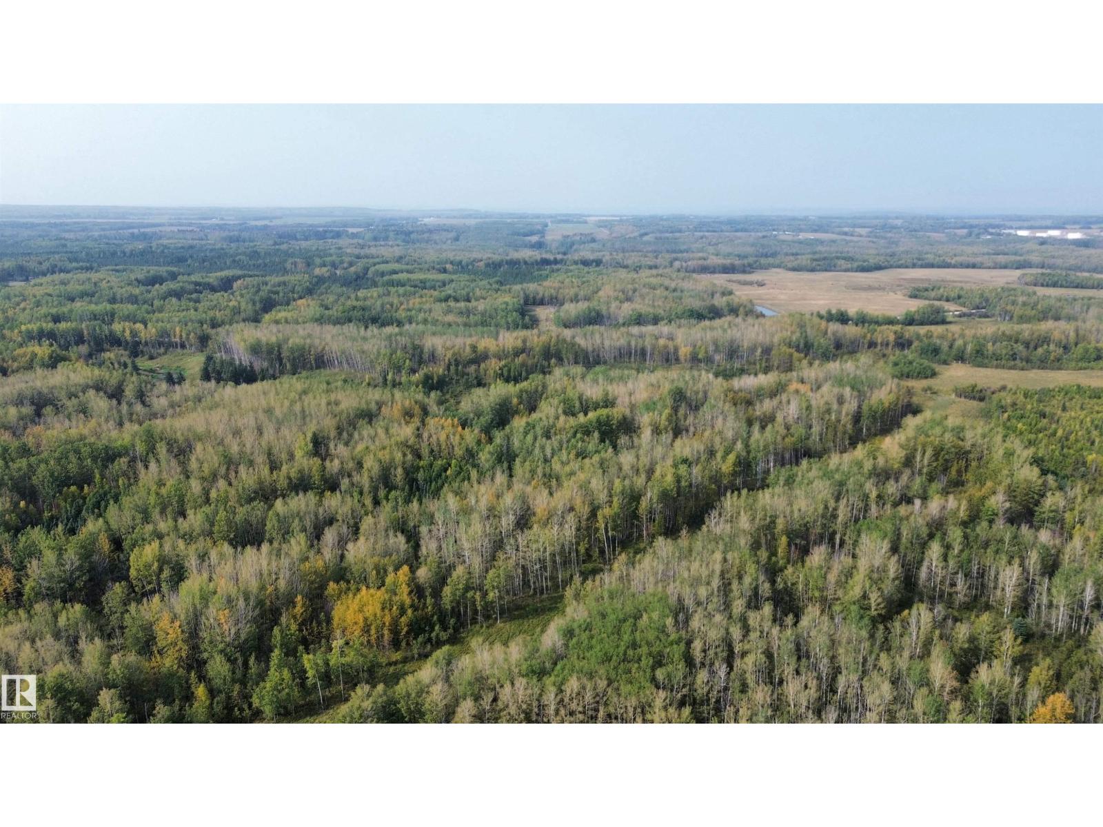 On Twp 484, Rural Brazeau County, Alberta  T0C 0A0 - Photo 34 - E4456901