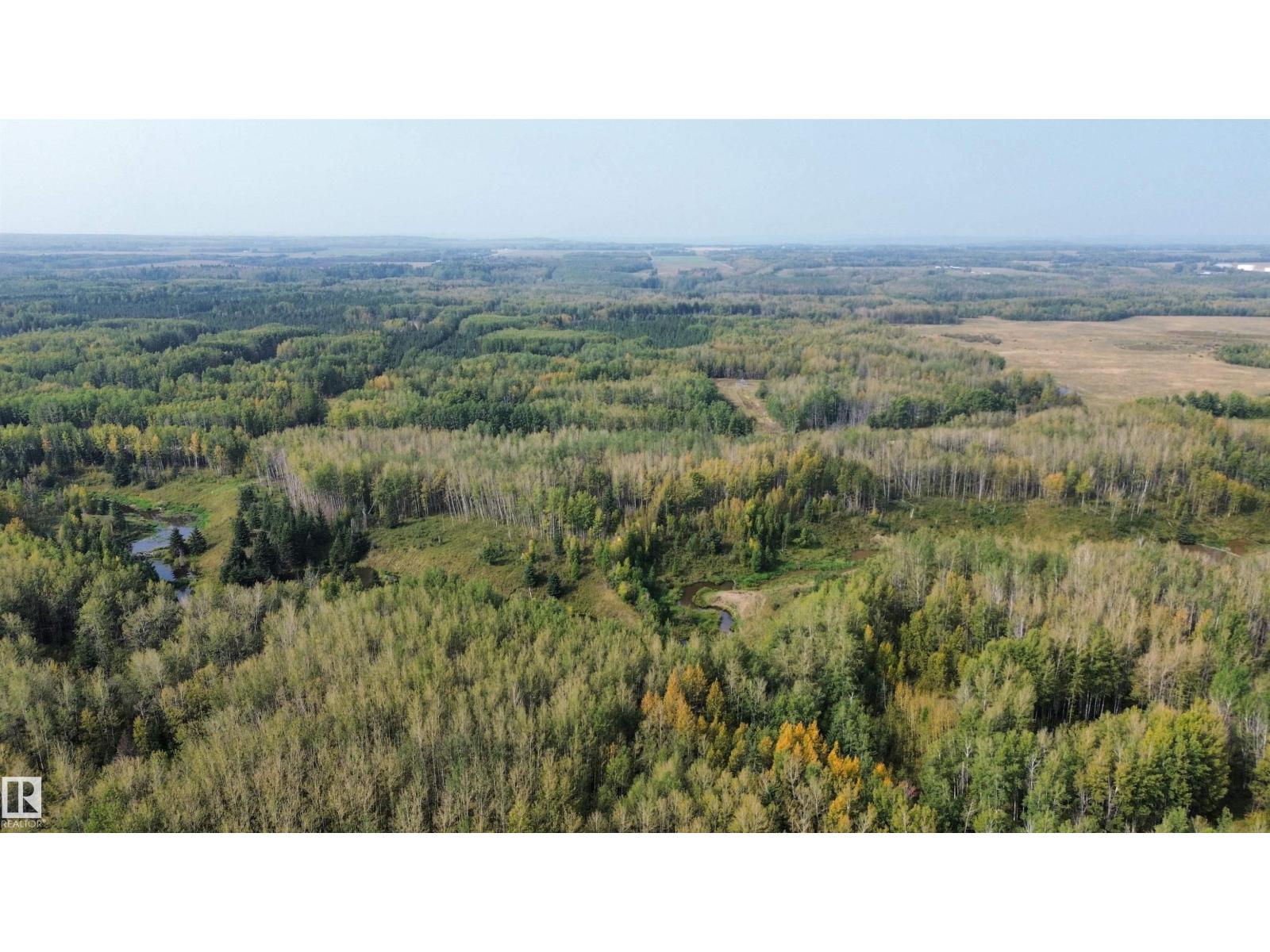 On Twp 484, Rural Brazeau County, Alberta  T0C 0A0 - Photo 35 - E4456901