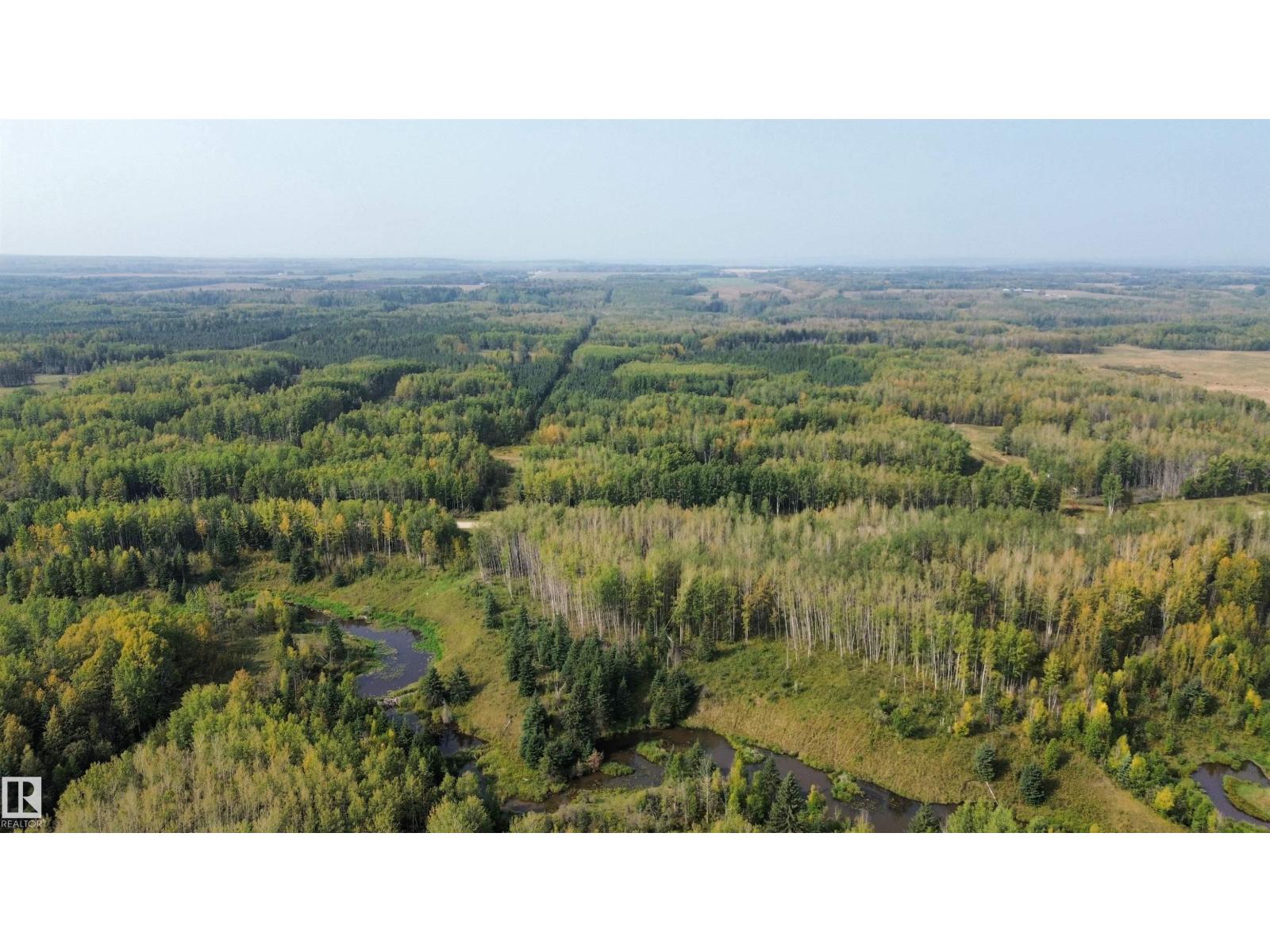 On Twp 484, Rural Brazeau County, Alberta  T0C 0A0 - Photo 36 - E4456901