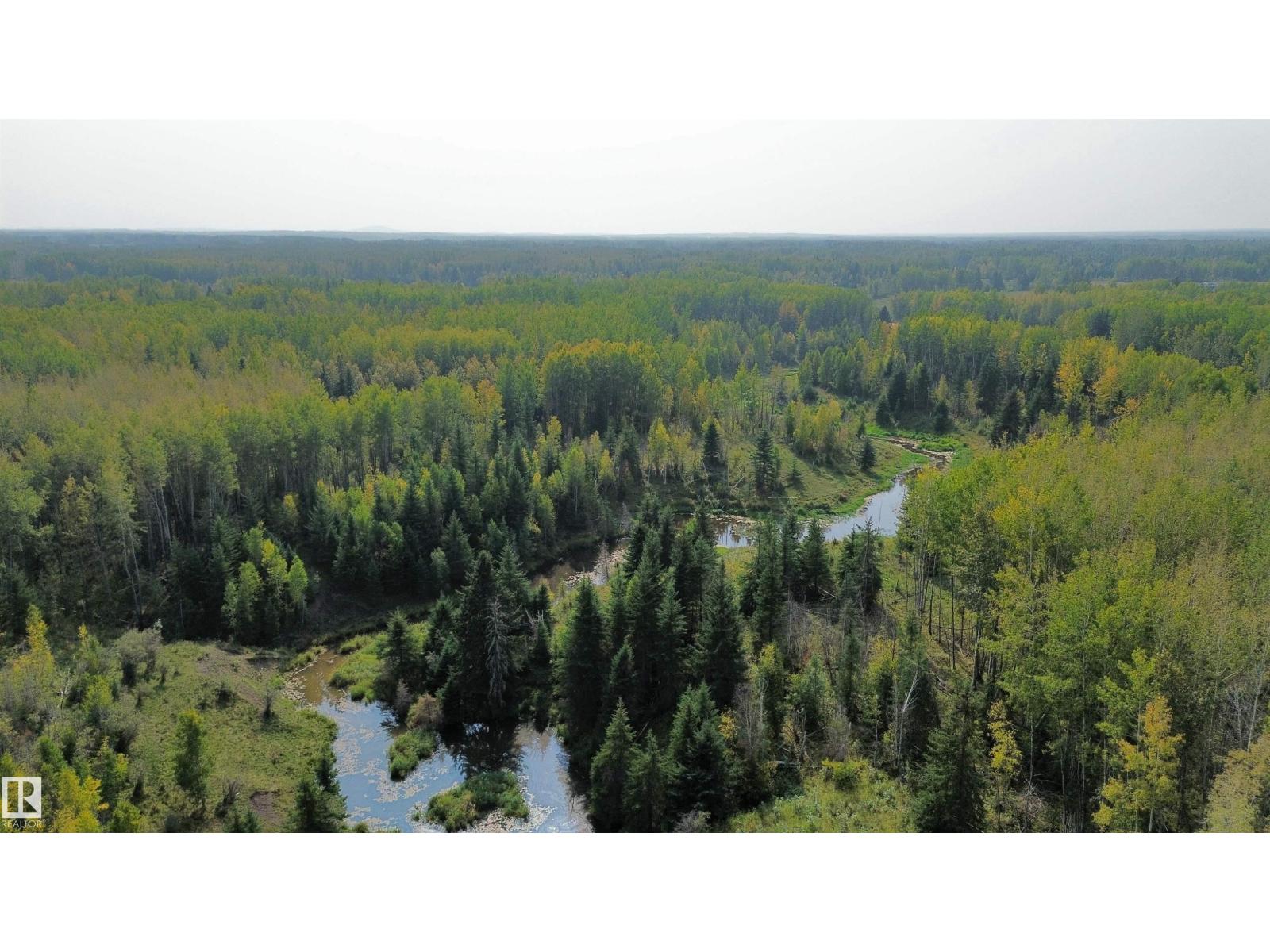 On Twp 484, Rural Brazeau County, Alberta  T0C 0A0 - Photo 5 - E4456901