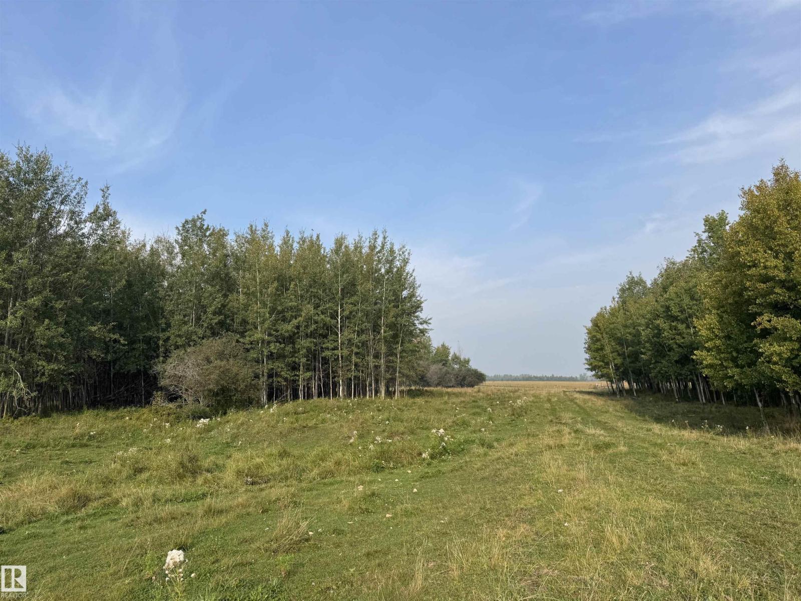 On Twp 484, Rural Brazeau County, Alberta  T0C 0A0 - Photo 58 - E4456901