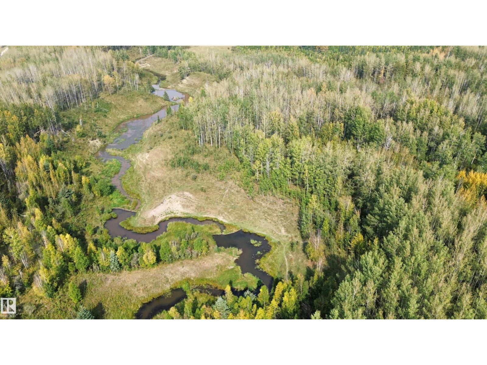 On Twp 484, Rural Brazeau County, Alberta  T0C 0A0 - Photo 6 - E4456901