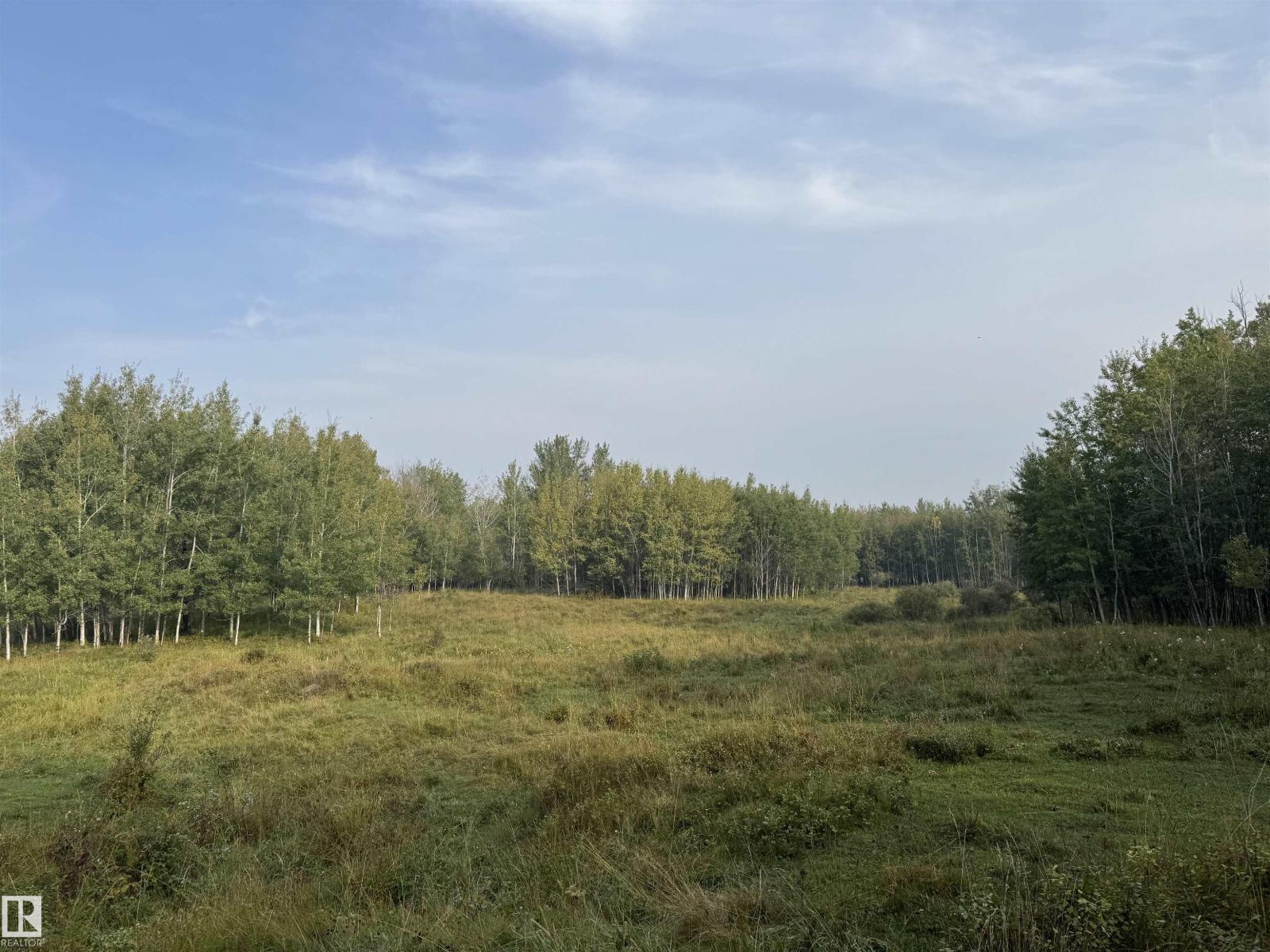 On Twp 484, Rural Brazeau County, Alberta  T0C 0A0 - Photo 60 - E4456901